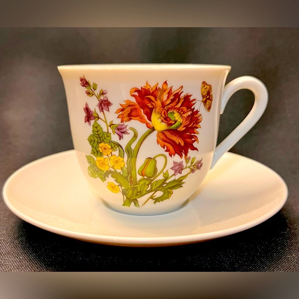House of Goebel Bavaria West Germany Vintage Floral Teacup Saucer Set Poppy Leaf